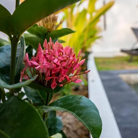 Ozzy Villa Phangan Wok Tum Bagian luar foto