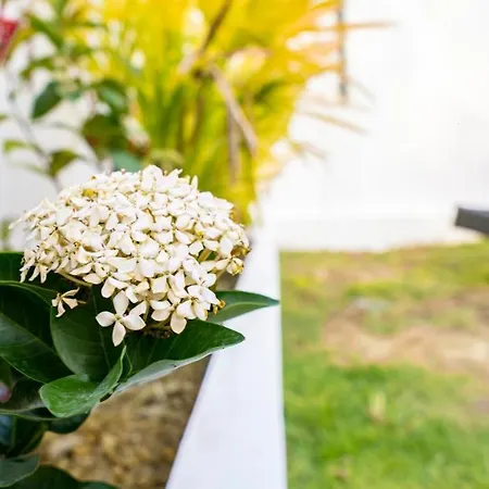 Ozzy Villa Phangan Wok Tum Bagian luar foto