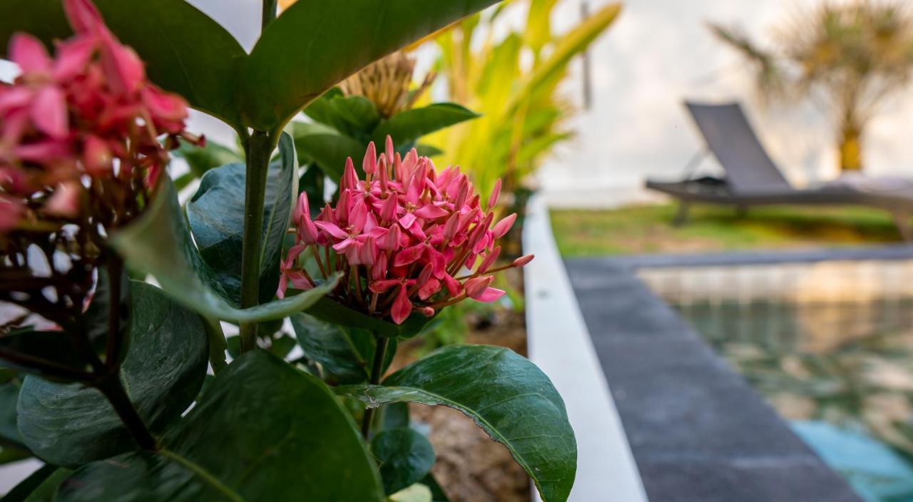 Villa Ozzy Phangan *